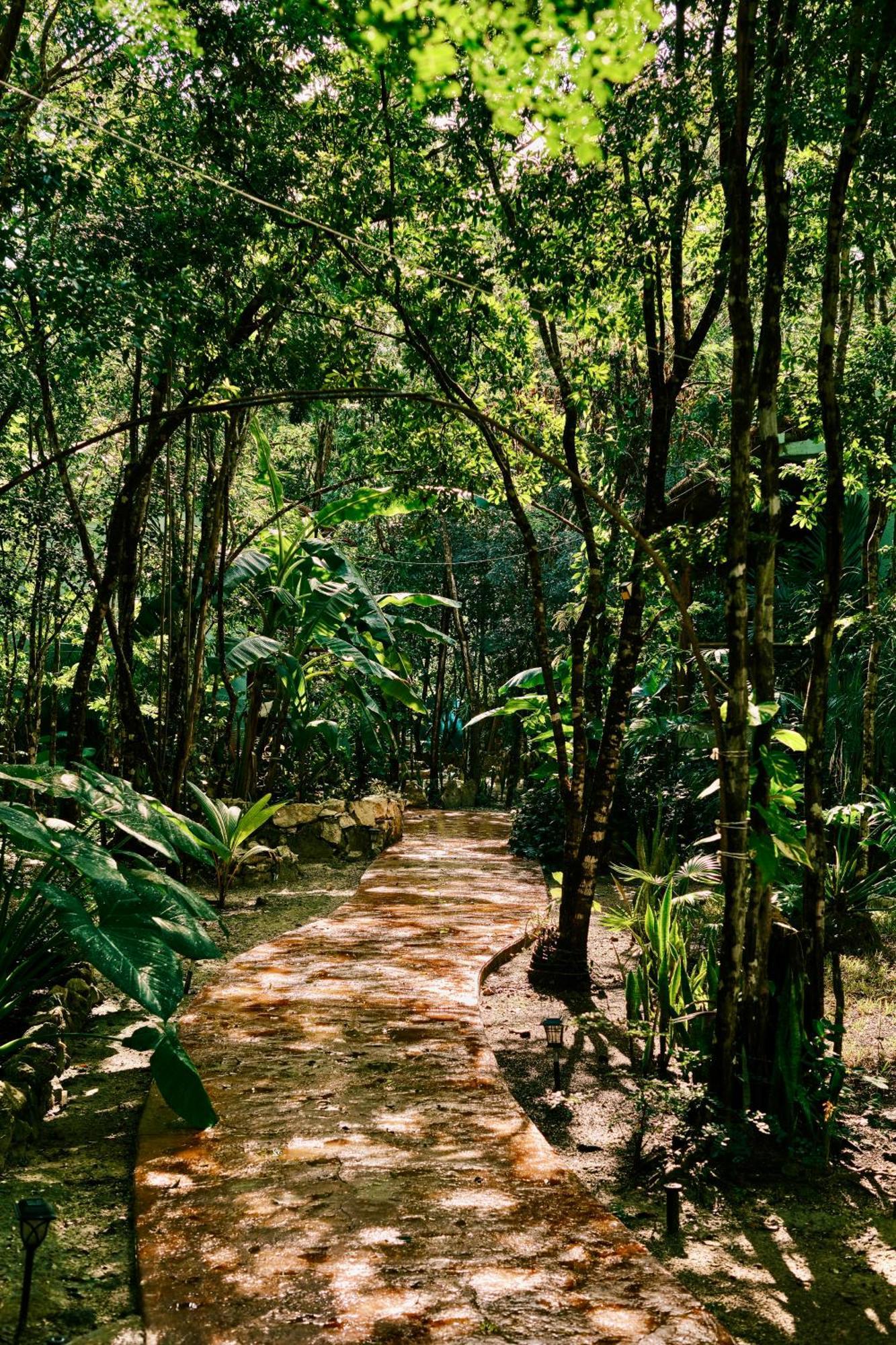 Villas Zamna - Jungle Villas Cozumel Kültér fotó