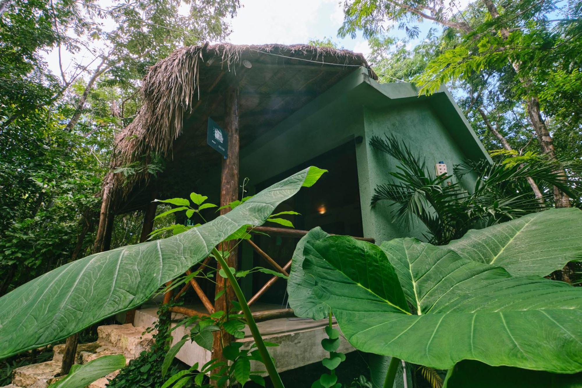 Villas Zamna - Jungle Villas Cozumel Kültér fotó