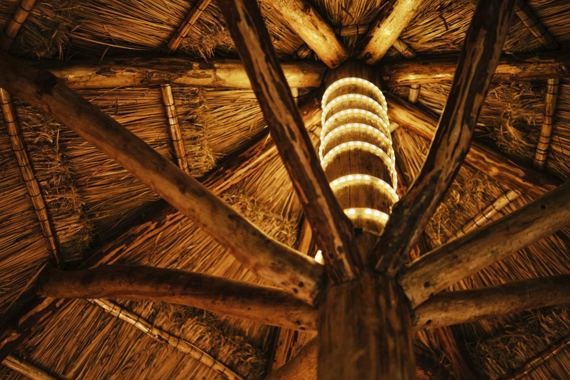 Villas Zamna - Jungle Villas Cozumel Kültér fotó