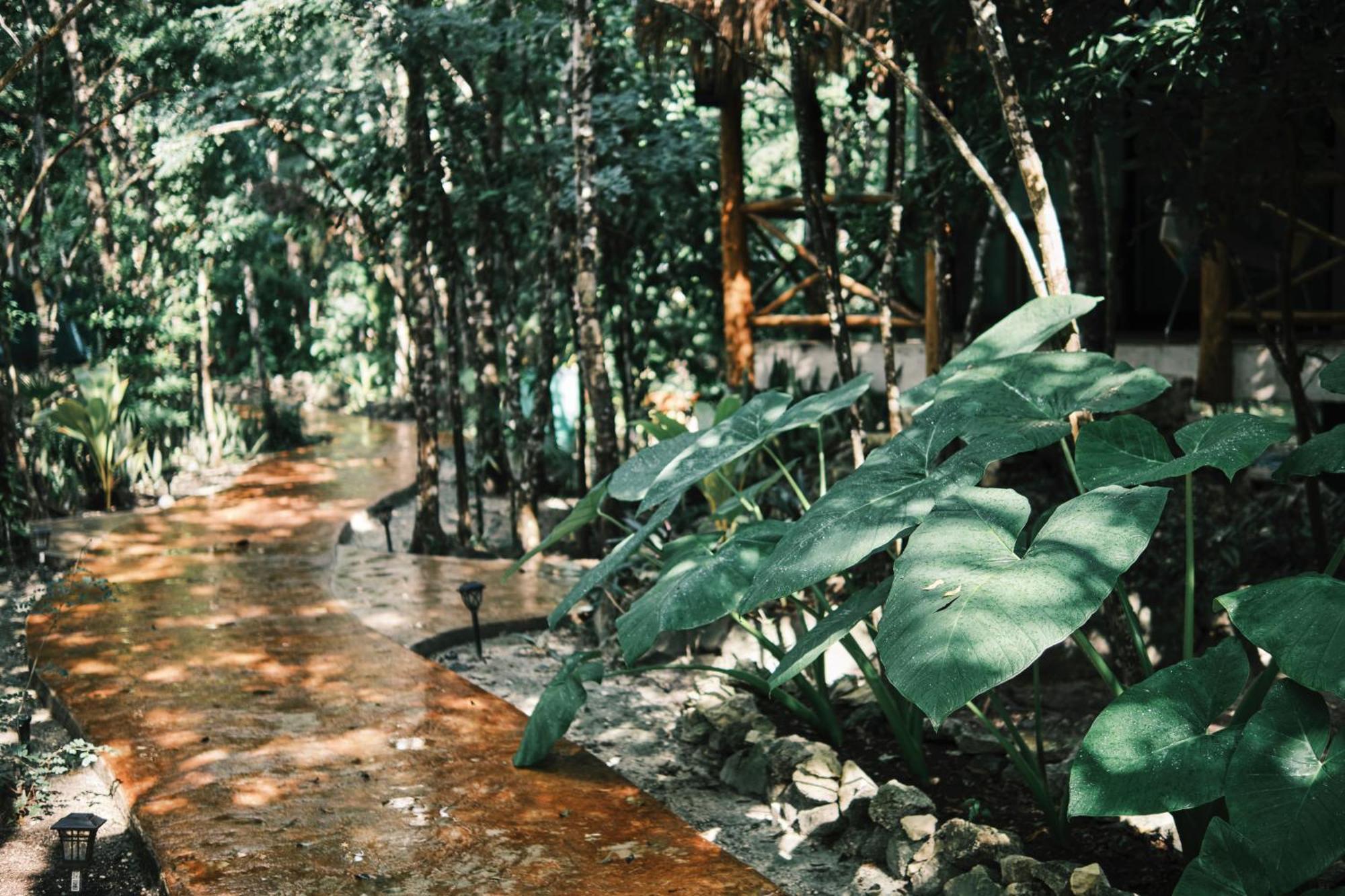 Villas Zamna - Jungle Villas Cozumel Kültér fotó