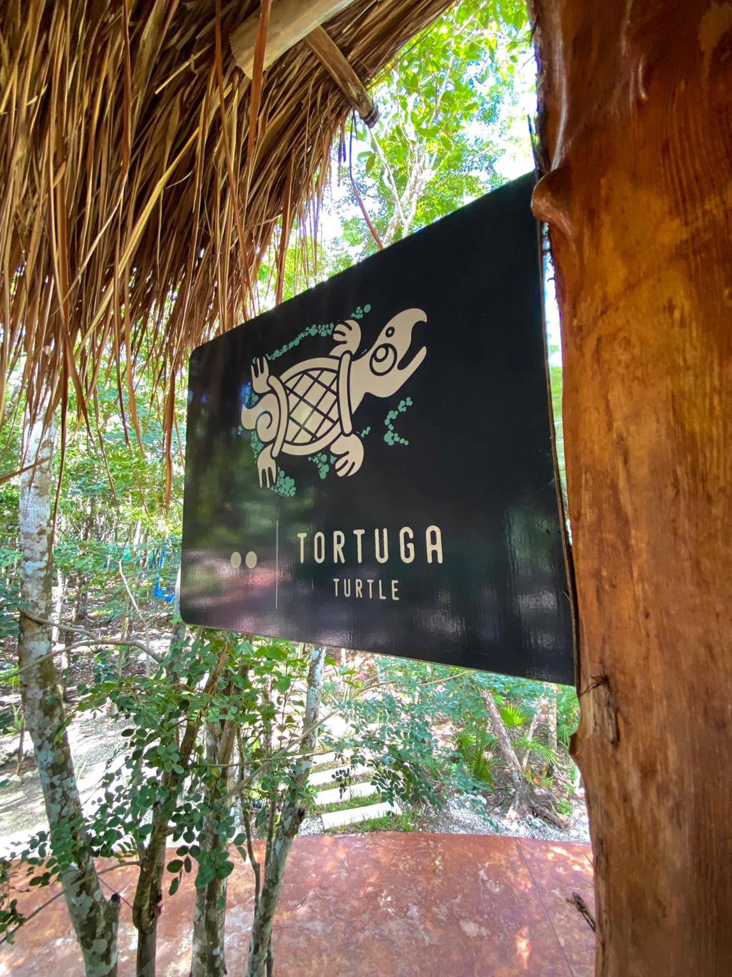 Villas Zamna - Jungle Villas Cozumel Kültér fotó