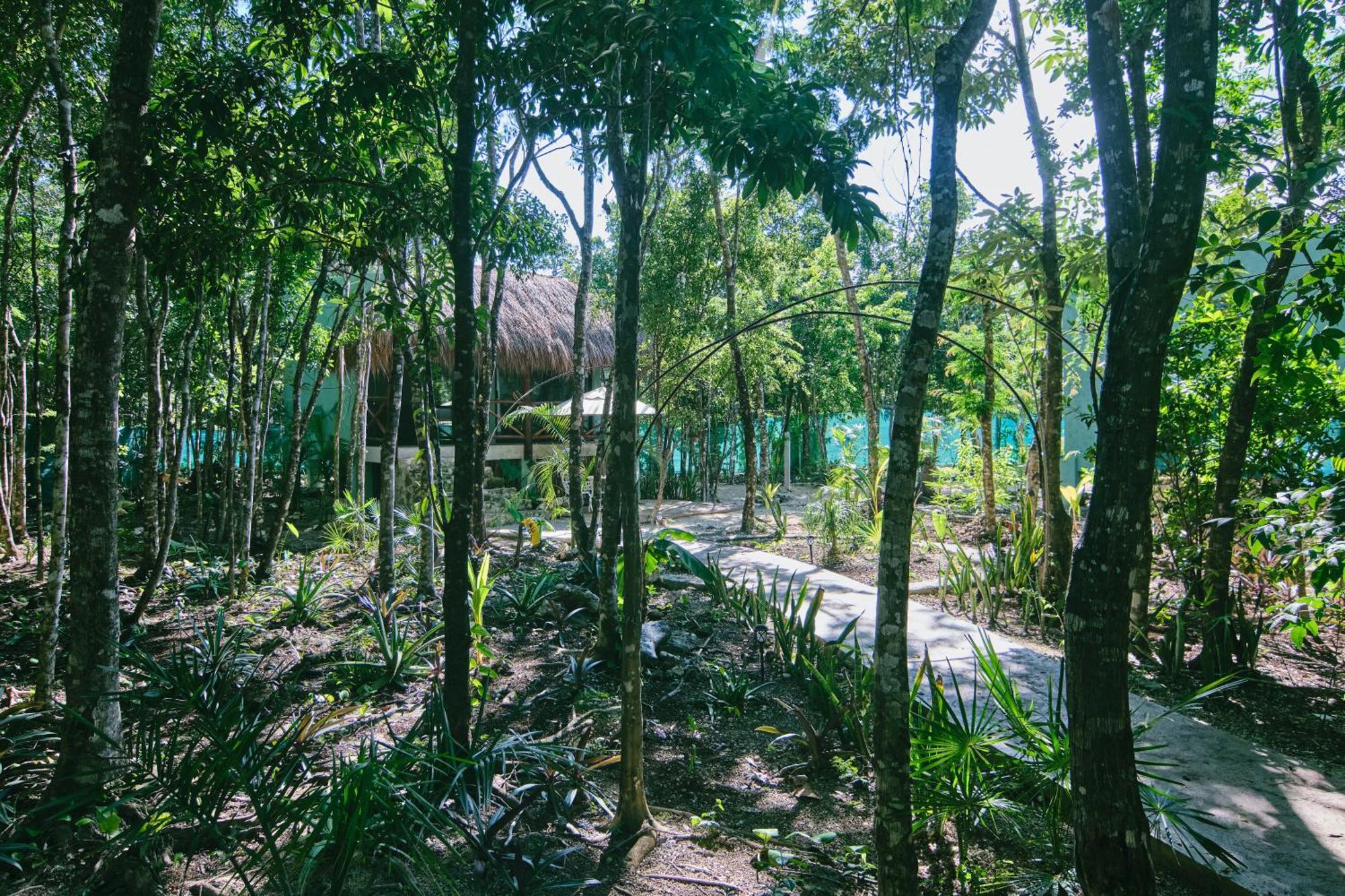 Villas Zamna - Jungle Villas Cozumel Kültér fotó