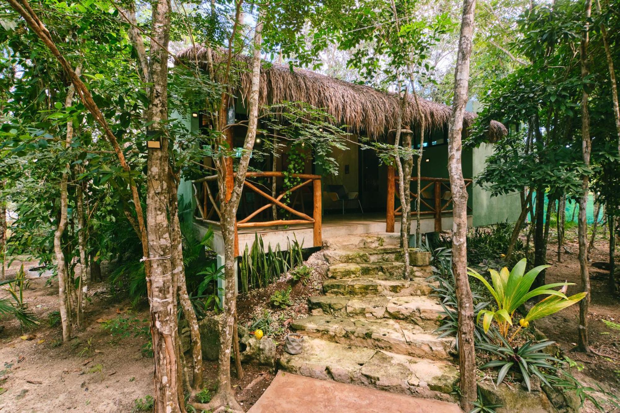 Villas Zamna - Jungle Villas Cozumel Kültér fotó