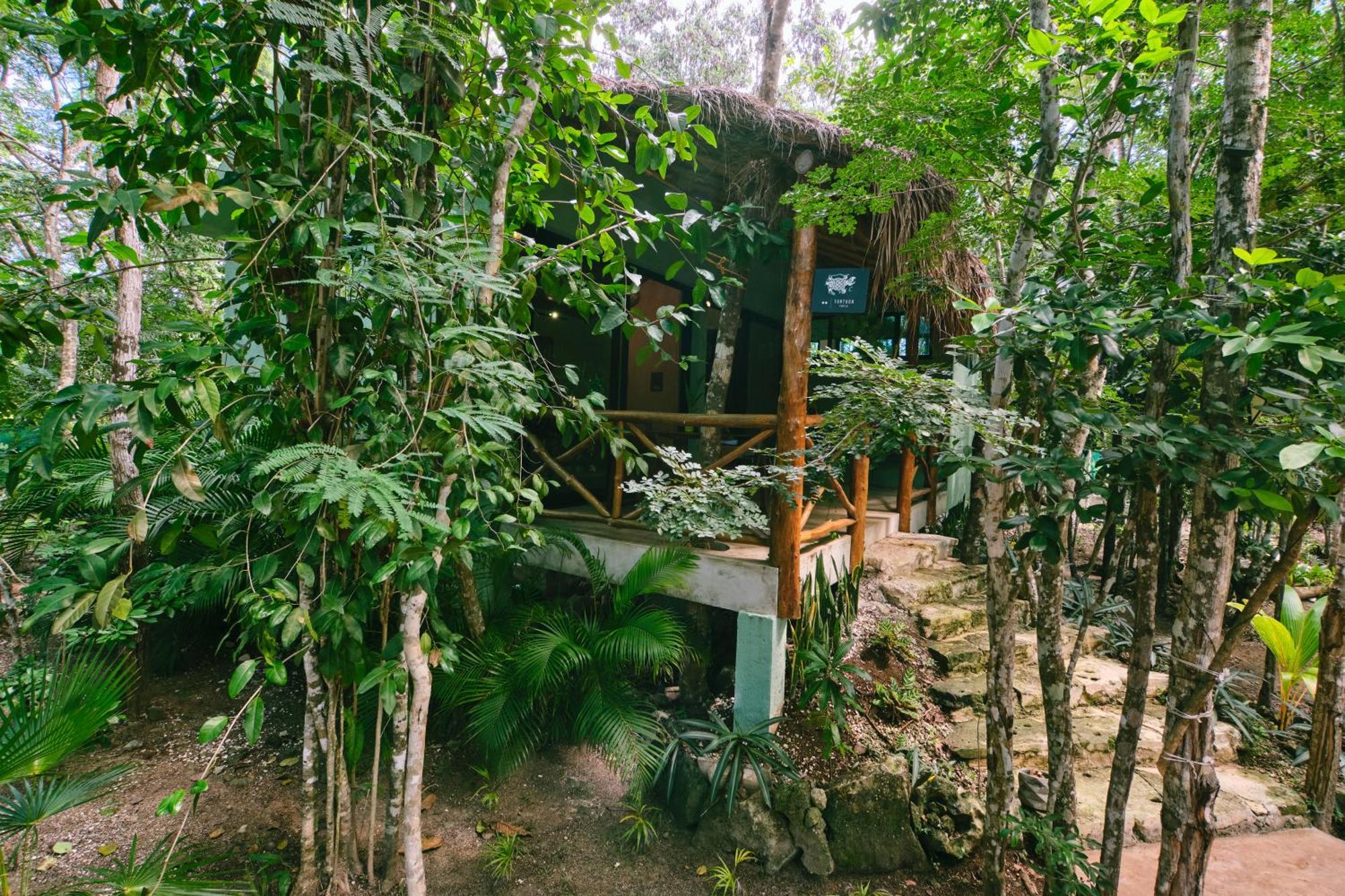 Villas Zamna - Jungle Villas Cozumel Kültér fotó