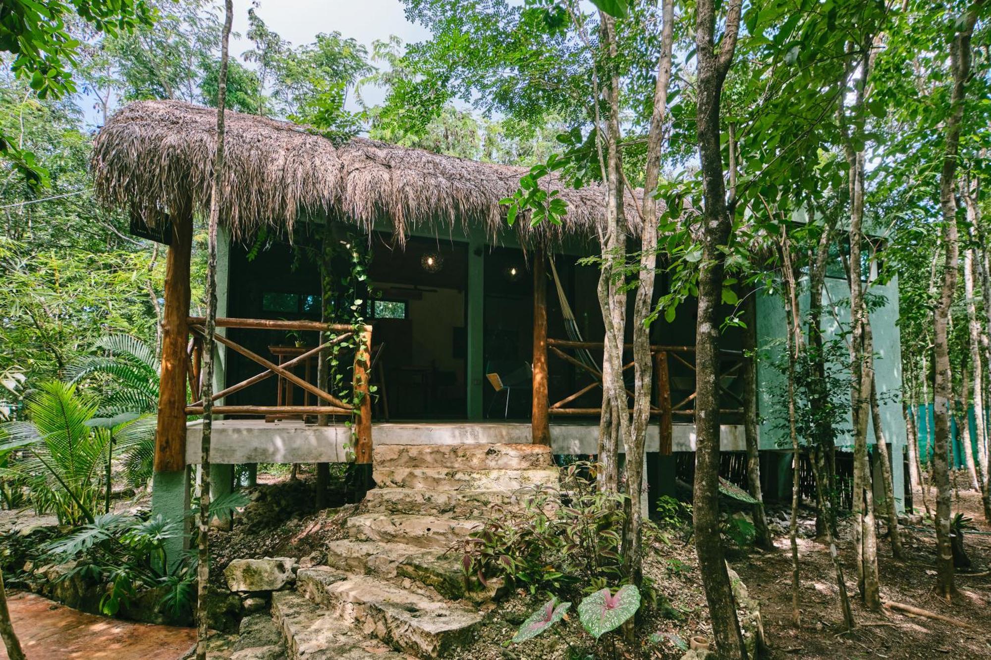Villas Zamna - Jungle Villas Cozumel Kültér fotó
