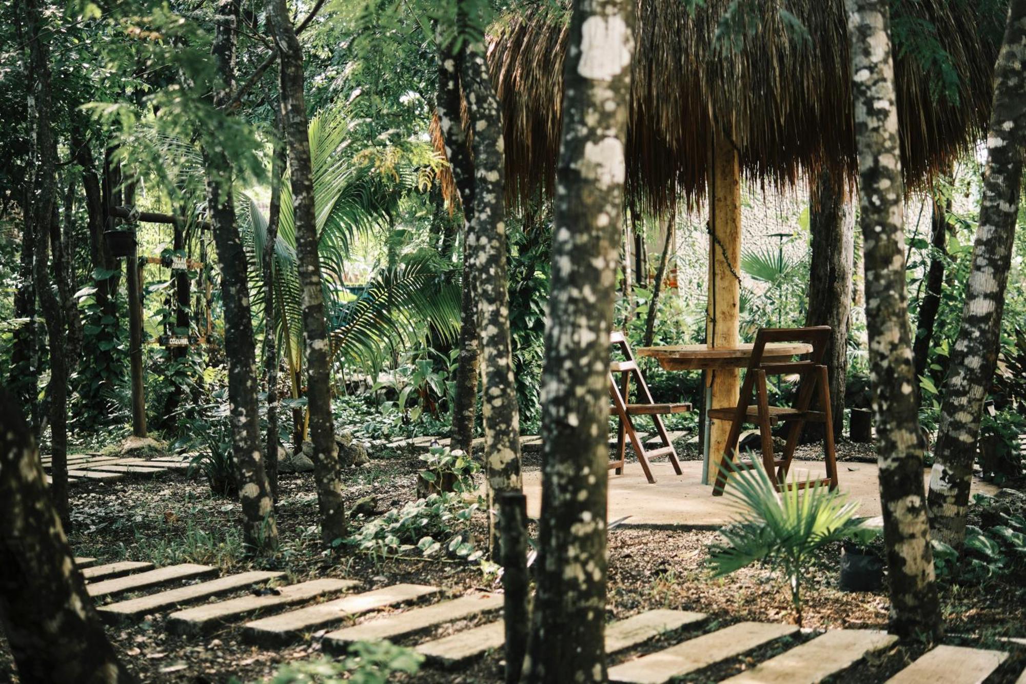 Villas Zamna - Jungle Villas Cozumel Kültér fotó