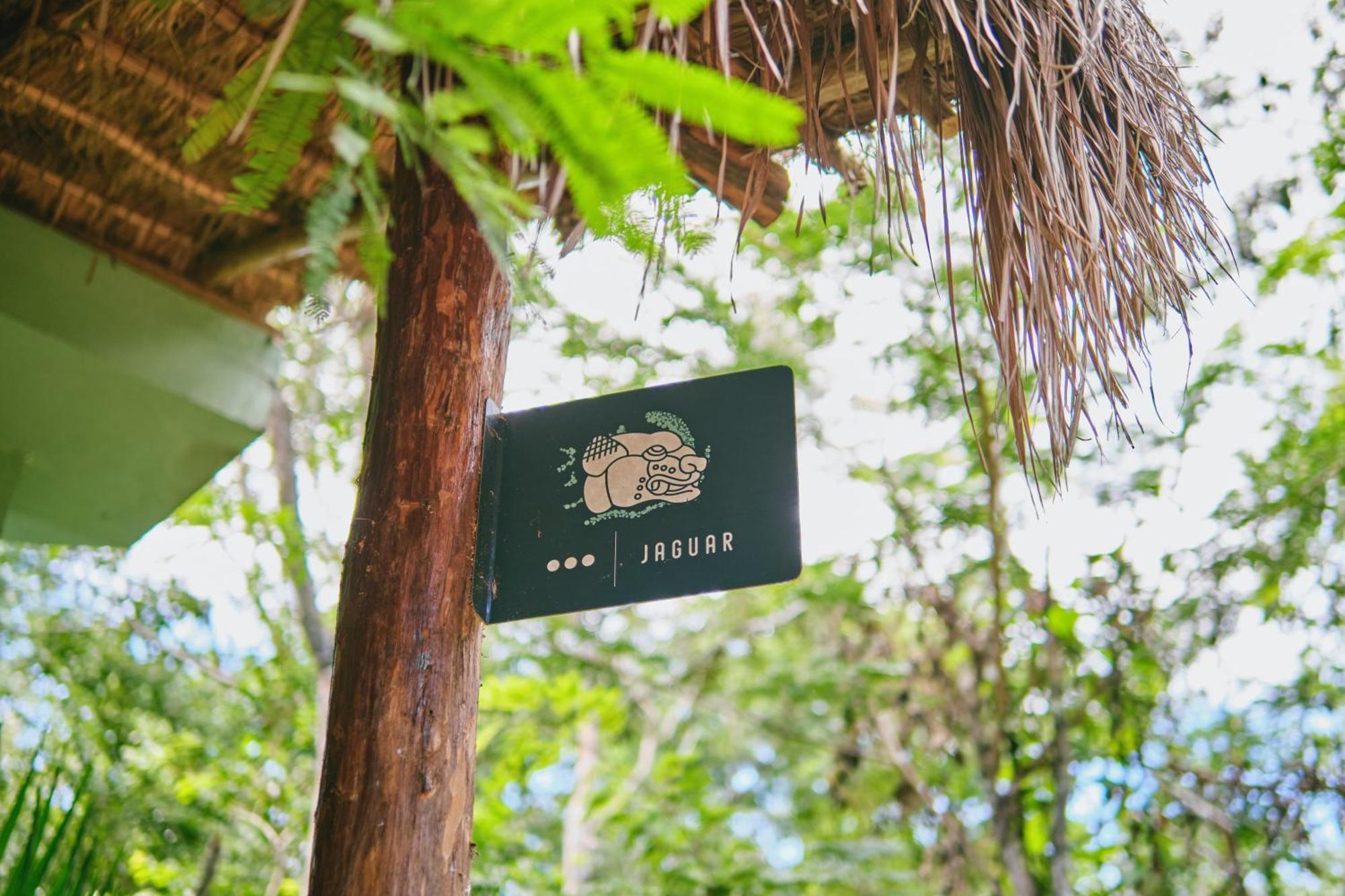 Villas Zamna - Jungle Villas Cozumel Kültér fotó