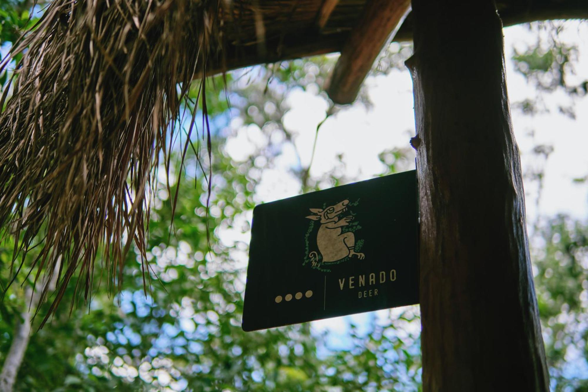 Villas Zamna - Jungle Villas Cozumel Kültér fotó